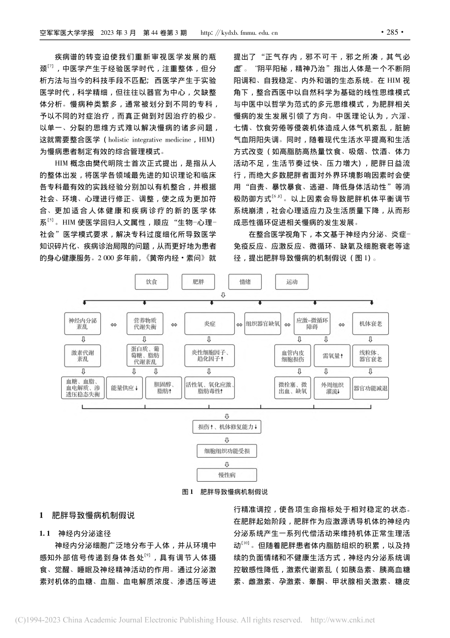 肥胖导致慢病机制假说_赖敏.pdf_第2页