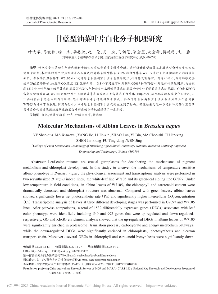 甘蓝型油菜叶片白化分子机理研究_叶沈华.pdf_第1页