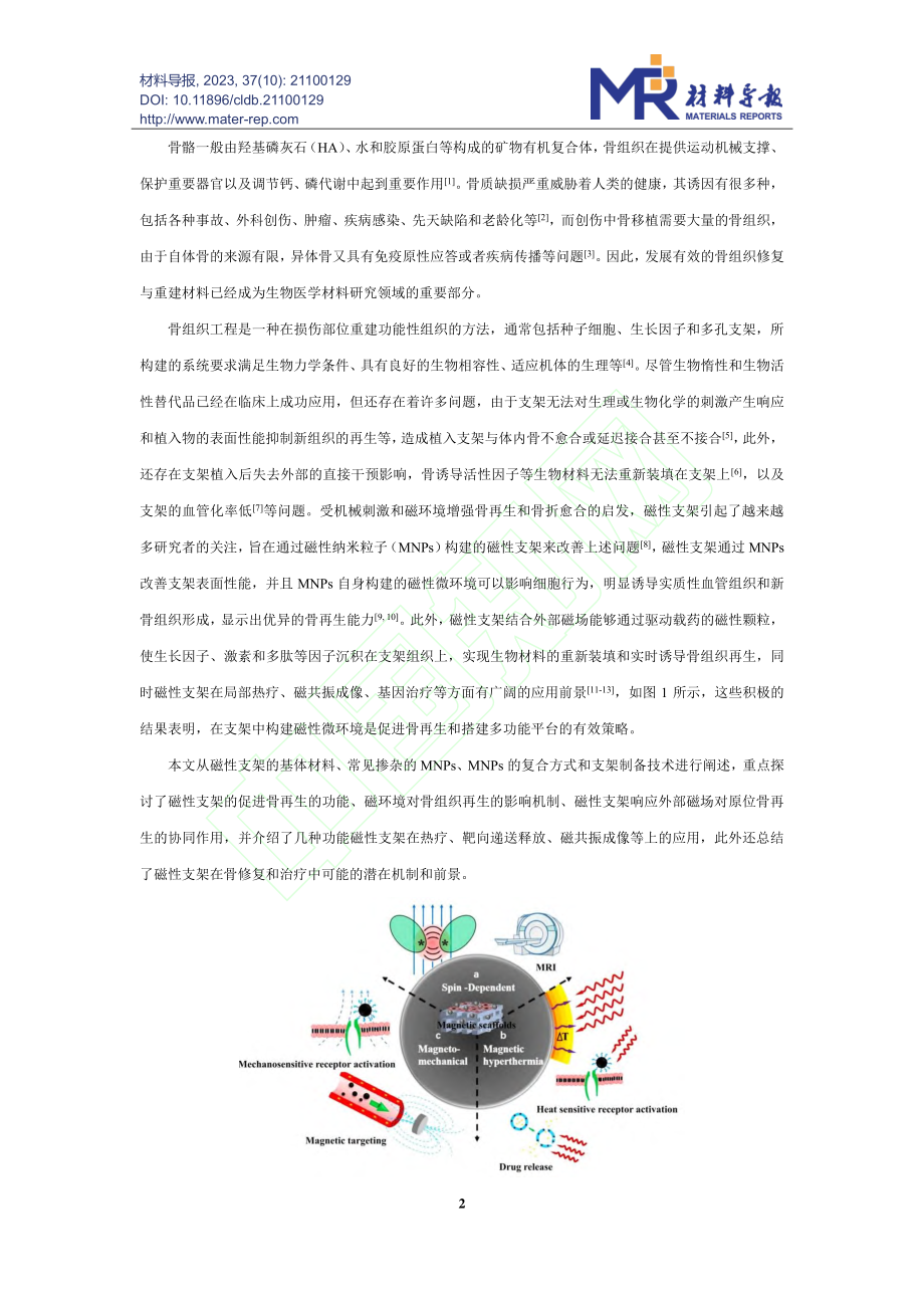 磁性功能支架用于骨组织工程的研究进展_段晶.pdf_第3页