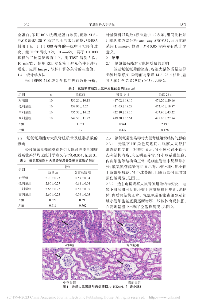 氟氯氰菊酯通过GADD45...K通路对大鼠肾脏损伤的影响_孙祎平.pdf_第3页