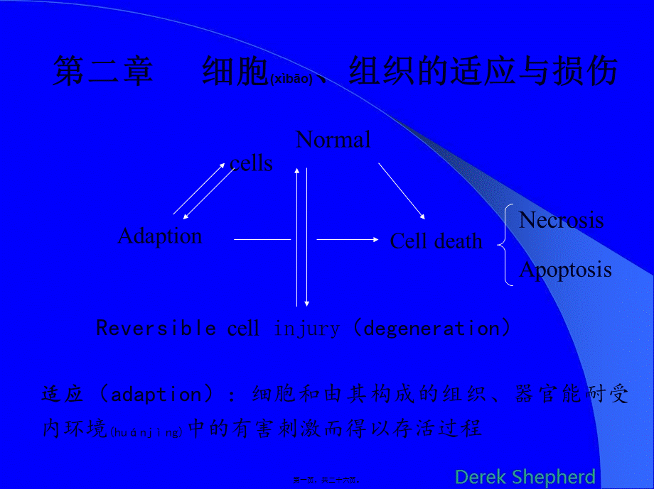 2022年医学专题—第二章-细胞、组织的适应与损伤(1).ppt_第1页