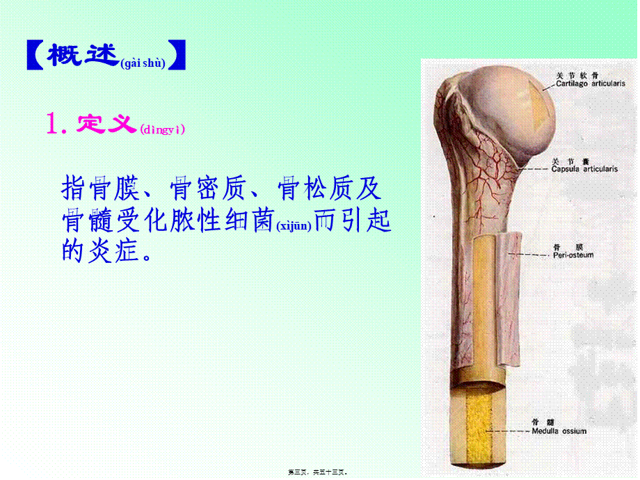 2022年医学专题—第四十八章-骨与关节感染(1)(1).ppt_第3页