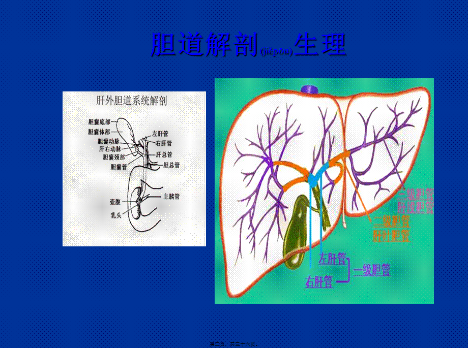 2022年医学专题—胆囊结石及防治(1).ppt_第2页