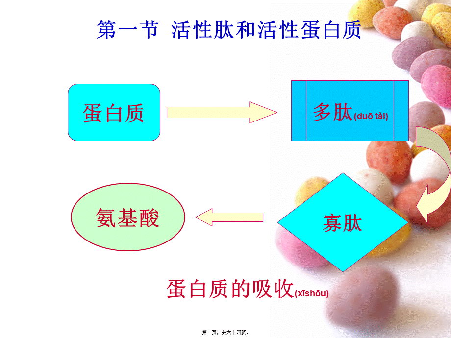 2022年医学专题—活性肽、活性蛋白质和功能性油脂(1).ppt_第1页