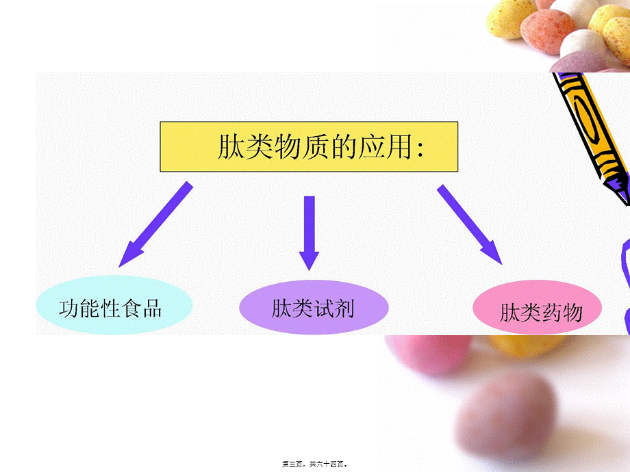 2022年医学专题—活性肽、活性蛋白质和功能性油脂(1).ppt_第3页