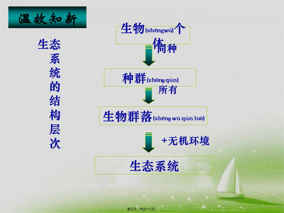 2022年医学专题—.1-生态系统的营养结构(最终)(1).ppt_第3页