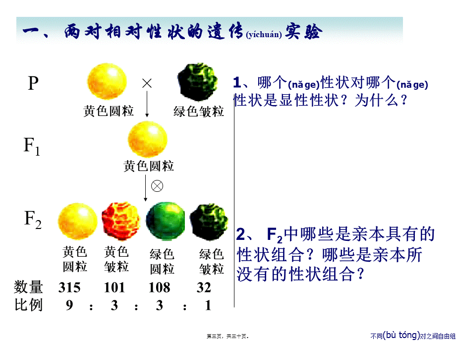 2022年医学专题—妈妈和姐姐都是单眼皮-我是双眼皮-猜猜我爸爸是双眼皮还(1).ppt_第3页