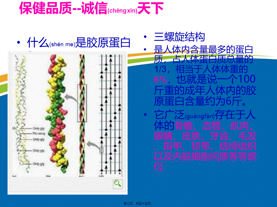 2022年医学专题—胶原蛋白(1).ppt_第2页