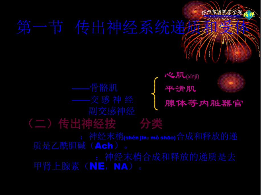 2022年医学专题—传出神经系统药理概论(1).pptx_第2页