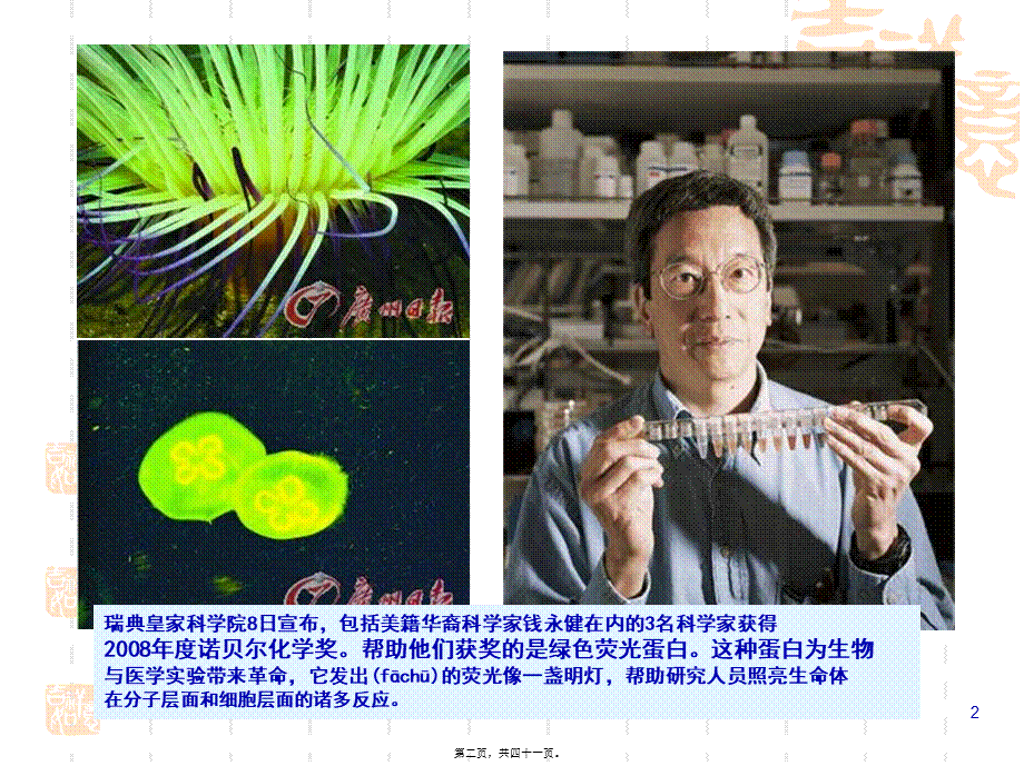 2022年医学专题—第七章-单细胞过程(1).ppt_第2页