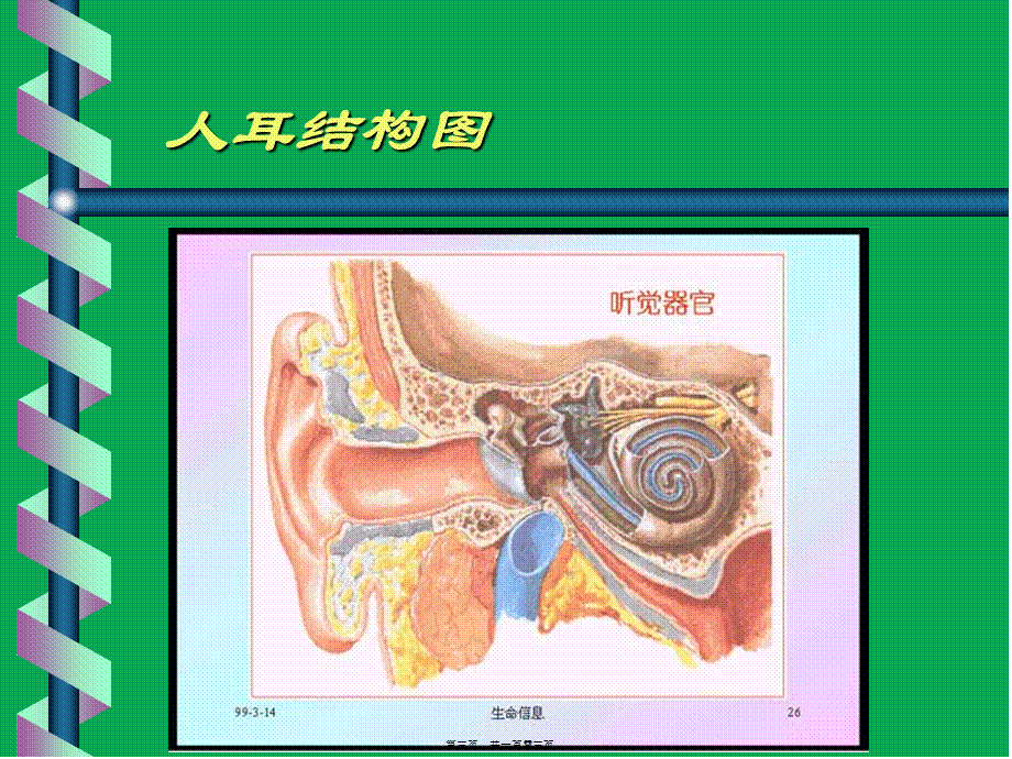 2022年医学专题—第七章-人耳的听觉特性(1).ppt_第3页