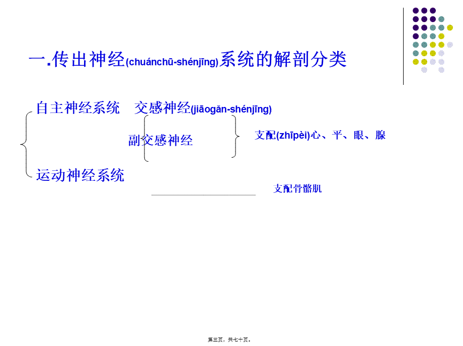 2022年医学专题—传出神经系统药理(2012)(1).ppt_第3页