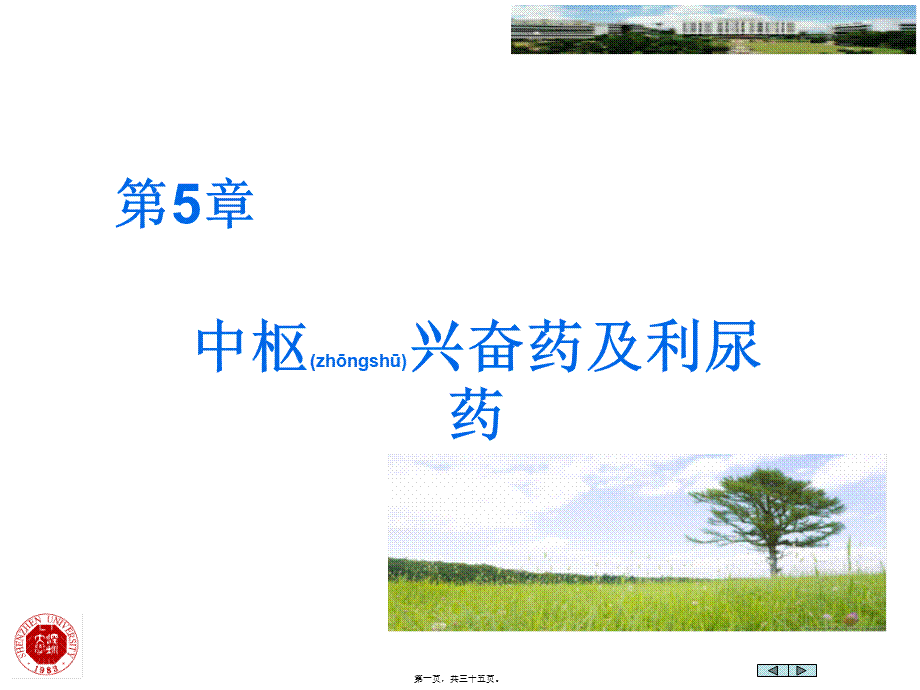 2022年医学专题—第5章-中枢兴奋药和利尿药(1).ppt_第1页