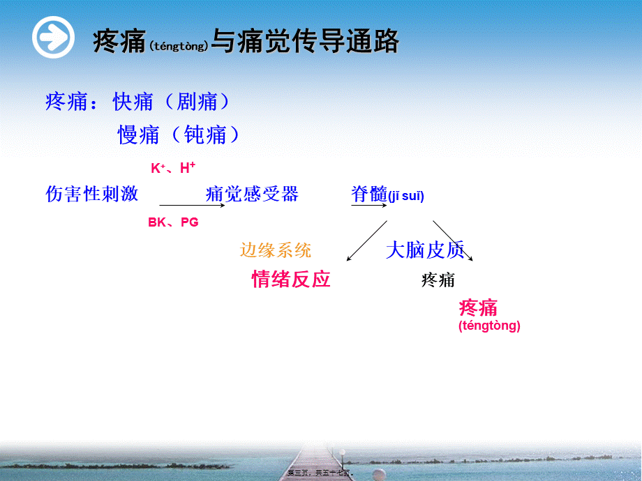 2022年医学专题—第19章镇痛药(1).ppt_第3页