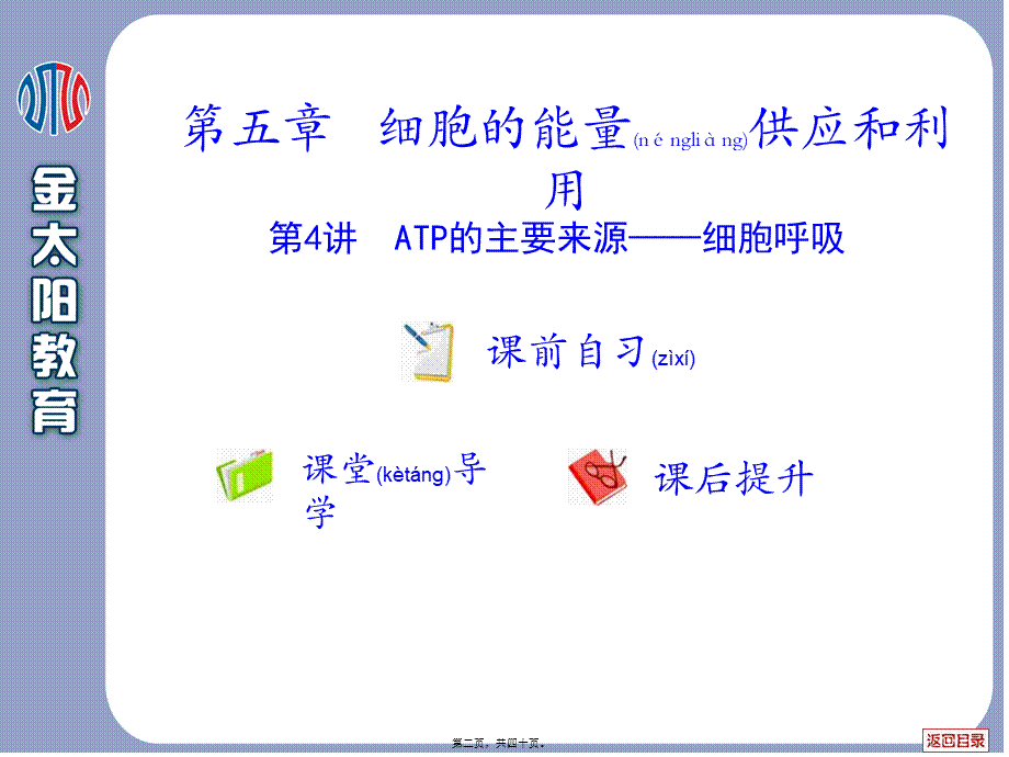 2022年医学专题—第五章--细胞的能量供应和利用--第4讲--ATP的主要来源——细胞呼吸(1).ppt_第2页