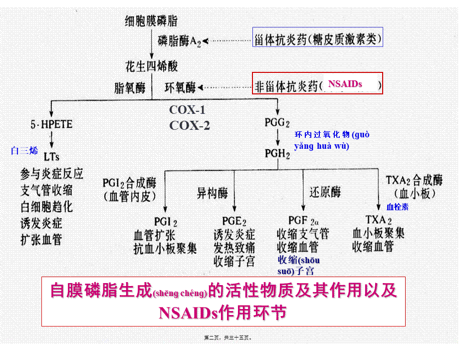 2022年医学专题—第十六章-解热镇痛抗炎药(1).ppt_第2页