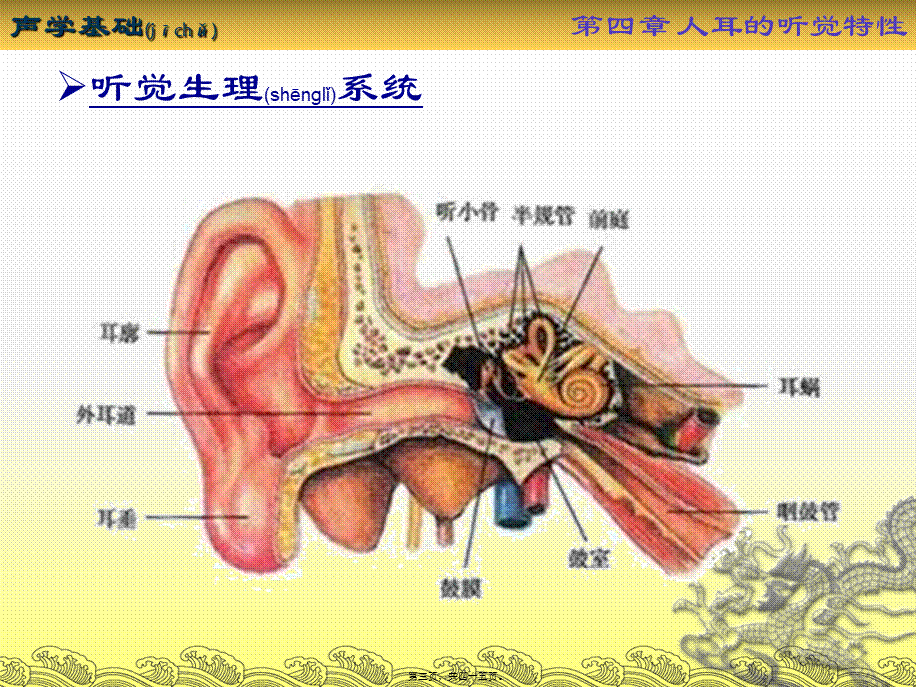 2022年医学专题—第四章-人耳的听觉特性(1).ppt_第3页