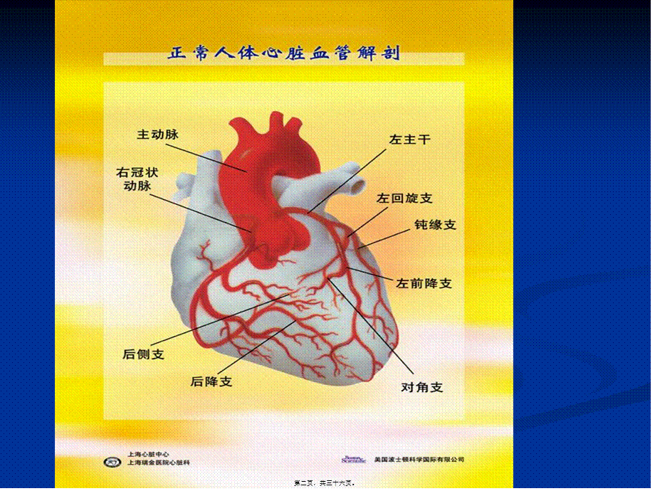 2022年医学专题—抗心绞痛药-13-9-24(1).ppt_第2页