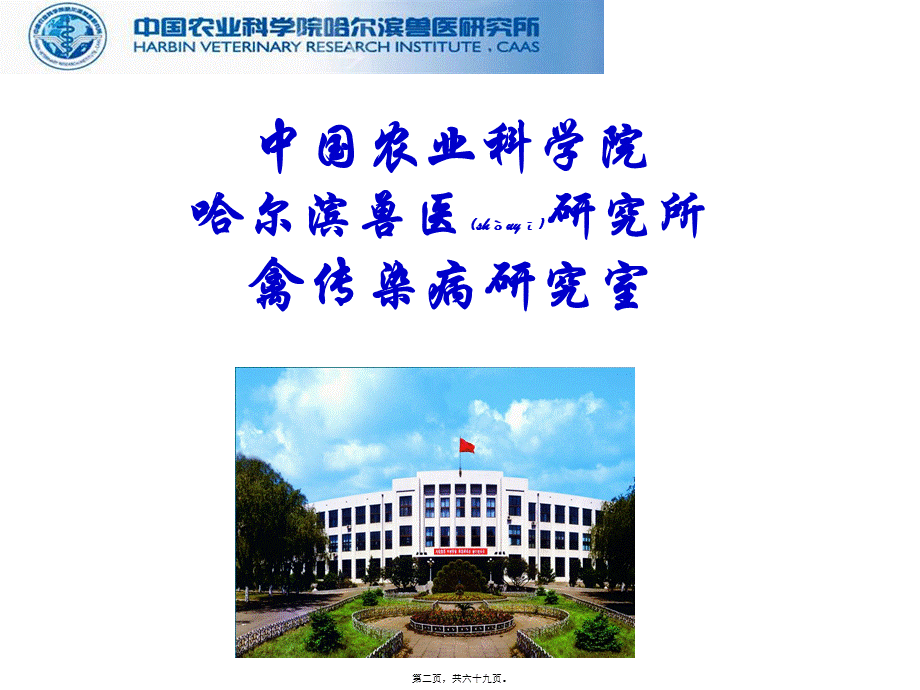 2022年医学专题—家禽传染性支气管炎的防治(1).ppt_第2页