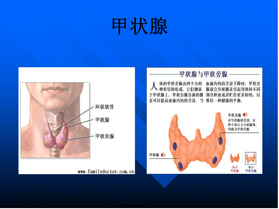 2022年医学专题—甲状腺结节(内训资料)(1).ppt_第3页