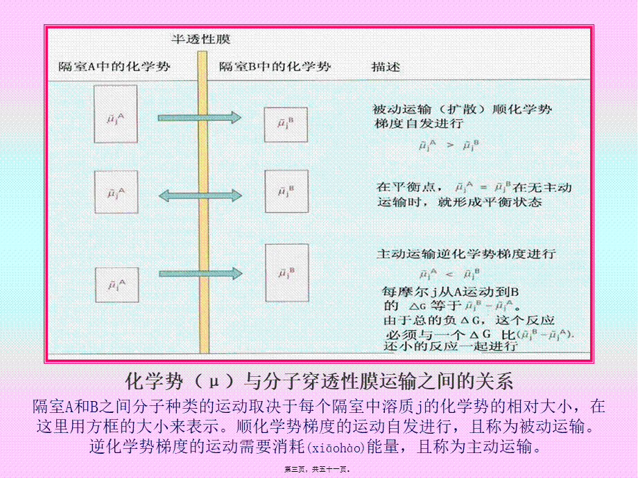 2022年医学专题—第三章-植物的矿质与氮素营养(2)分析(1).ppt_第3页