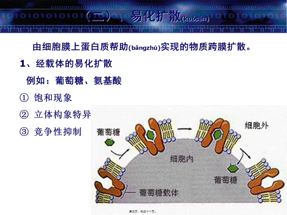 2022年医学专题—第三篇-细胞的基本功能(1).ppt_第3页