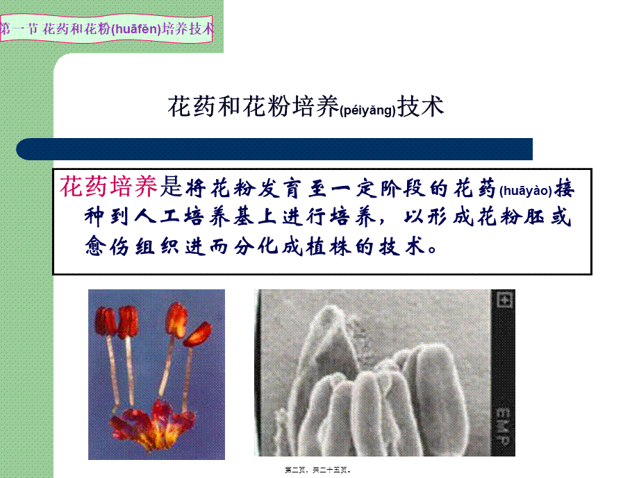 2022年医学专题—第六讲(3)花药(花粉)培养技术(1).ppt_第2页