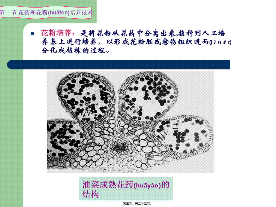 2022年医学专题—第六讲(3)花药(花粉)培养技术(1).ppt_第3页