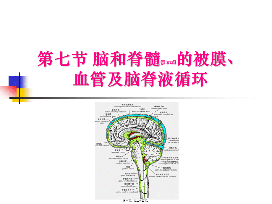 2022年医学专题—脑和脊髓的被膜、血管及脑脊液循环【1】(1).ppt_第1页