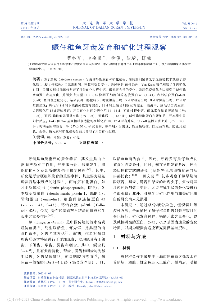 鳜仔稚鱼牙齿发育和矿化过程观察_曹林军.pdf_第1页