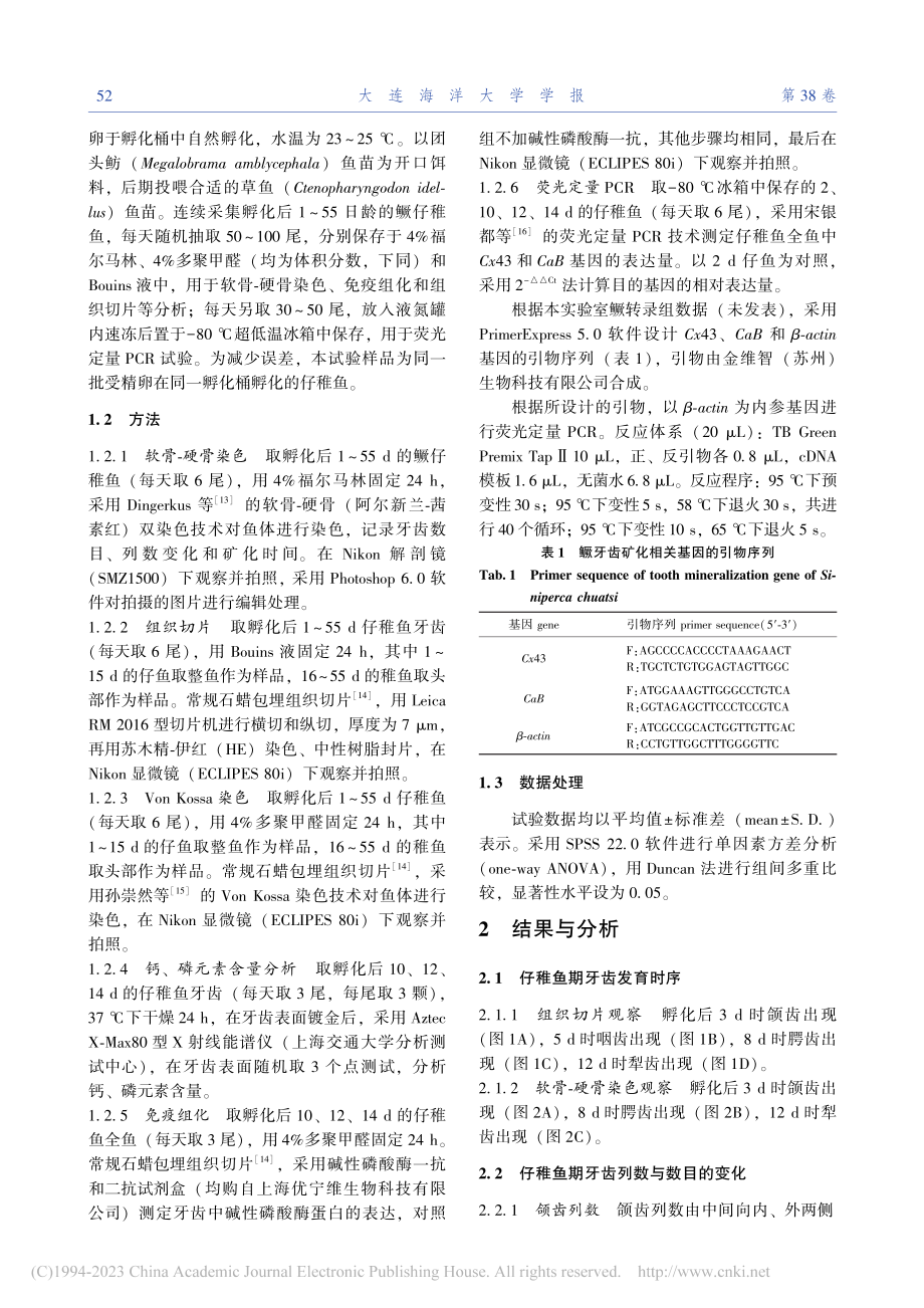 鳜仔稚鱼牙齿发育和矿化过程观察_曹林军.pdf_第2页