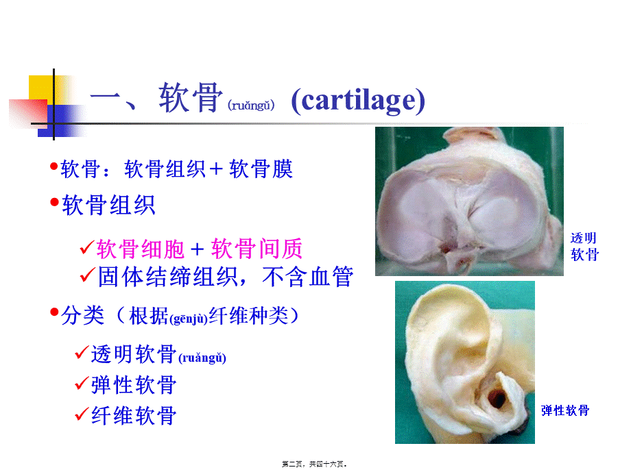 2022年医学专题—第4章--软骨和骨-(NXPowerLite)(1).ppt_第2页