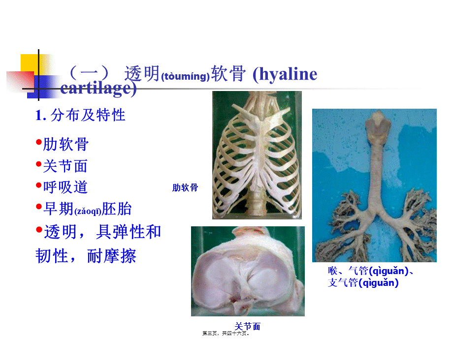 2022年医学专题—第4章--软骨和骨-(NXPowerLite)(1).ppt_第3页