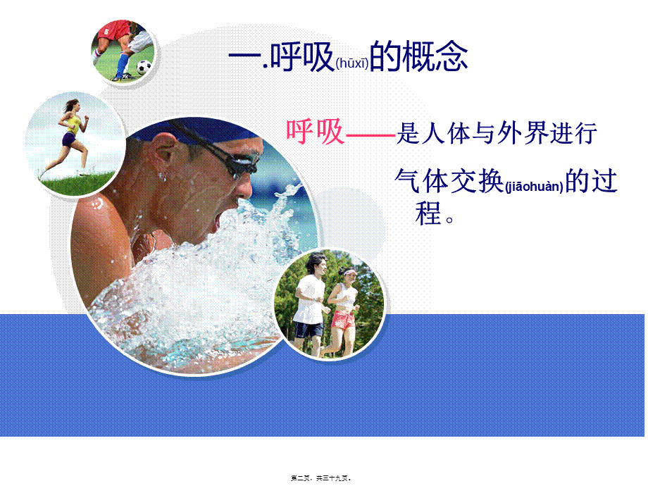 2022年医学专题—第三章1-2呼吸的过程(1).ppt_第2页