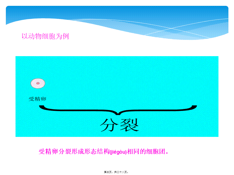 2022年医学专题—第四章第1节细胞分化形成组织(1).ppt_第3页