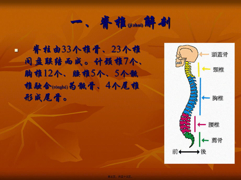 2022年医学专题—脊柱骨折脊髓损伤查房2003(1).ppt_第3页