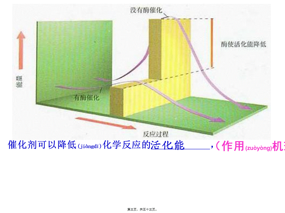 2022年医学专题—复习5-细胞的能量供应和利用(1).ppt_第3页