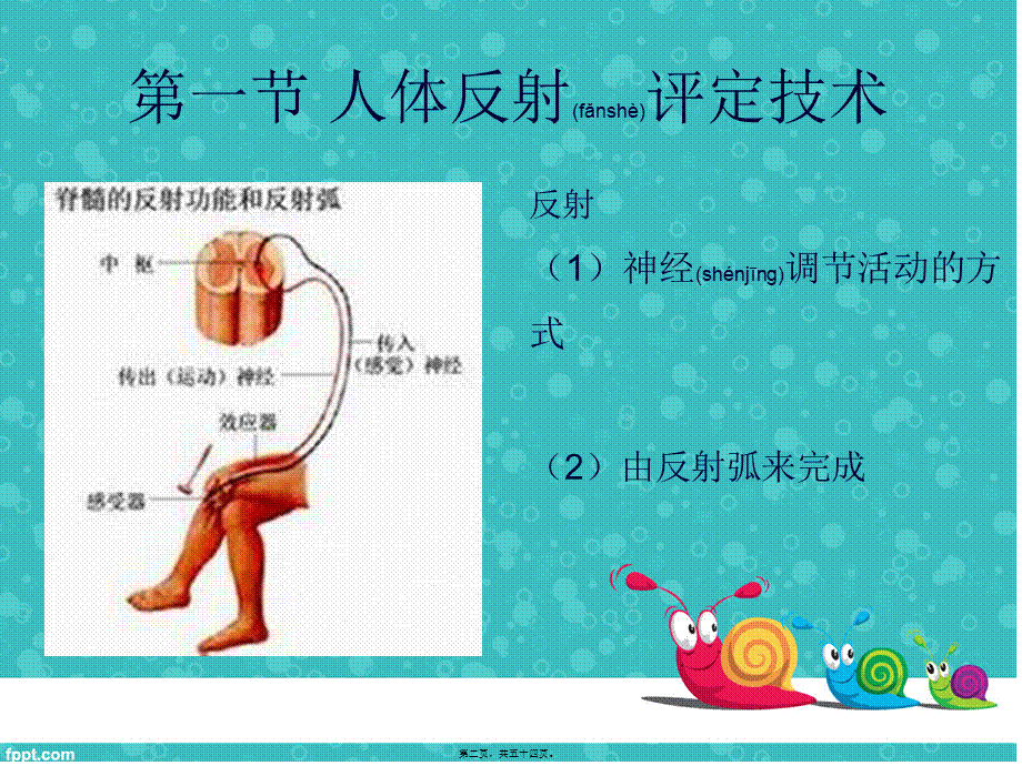 2022年医学专题—反射评定与人体发育(1).ppt_第2页