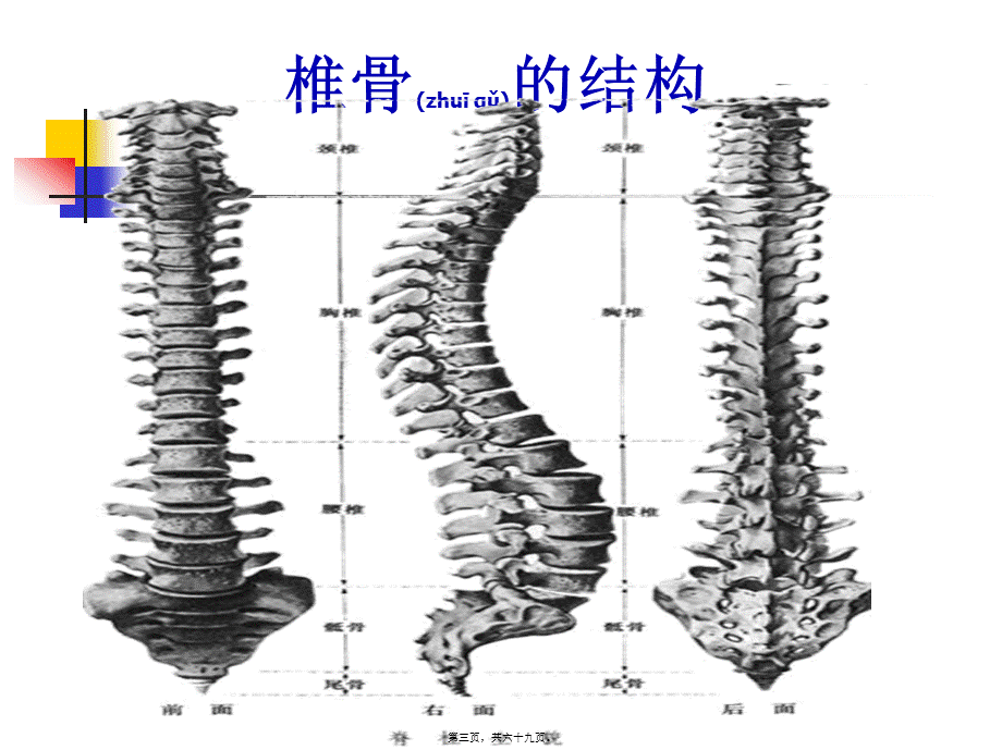 2022年医学专题—办公室常见病的防治(修改)(1).ppt_第3页