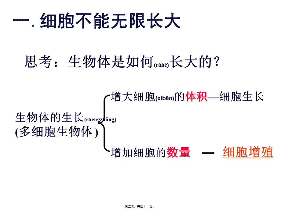 2022年医学专题—llm细胞增殖(1).ppt_第2页