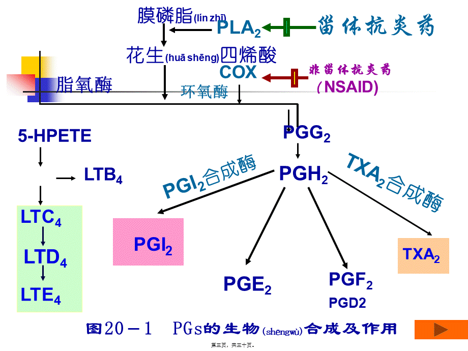 2022年医学专题—第20讲-解热镇痛抗炎药(1).ppt_第3页