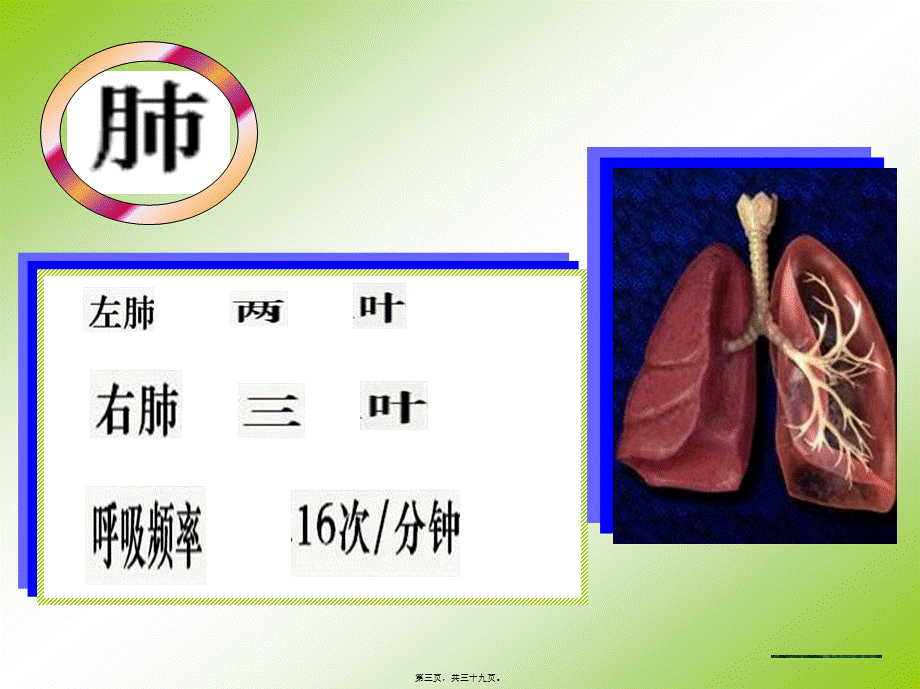 2022年医学专题—发生在肺里的气体交换(1).ppt_第3页