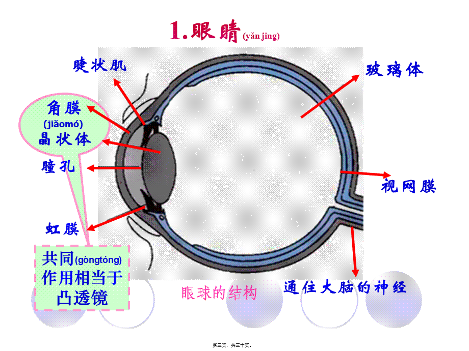 2022年医学专题—第4节-眼睛和眼镜2(1).ppt_第3页