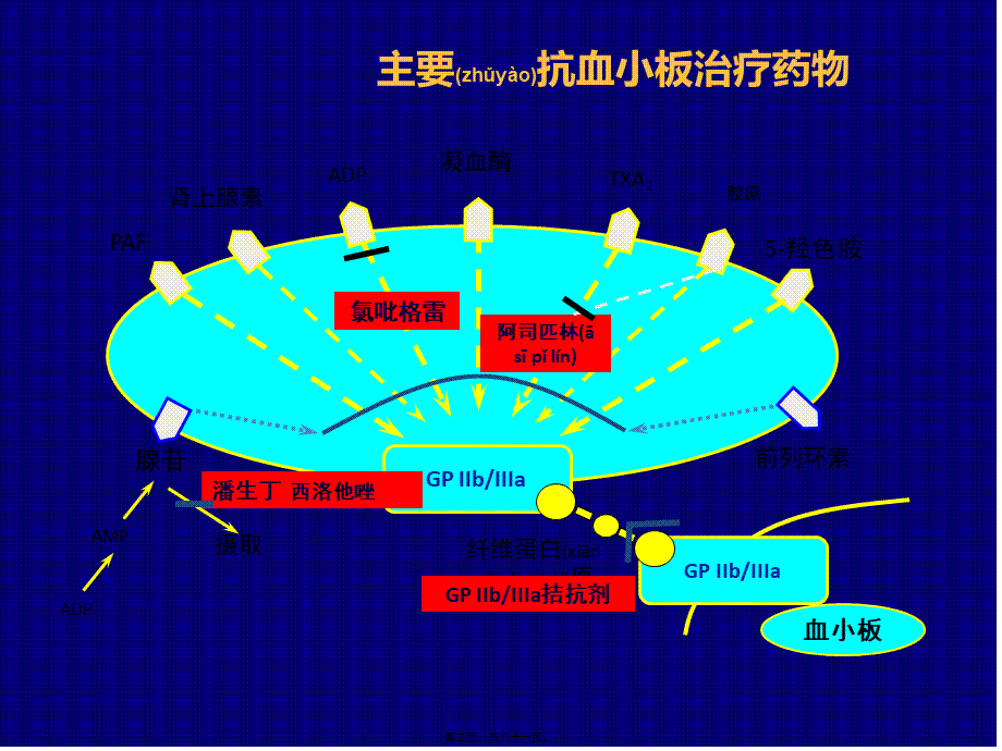 2022年医学专题—抗血小板与消化道出血(1).pptx_第3页