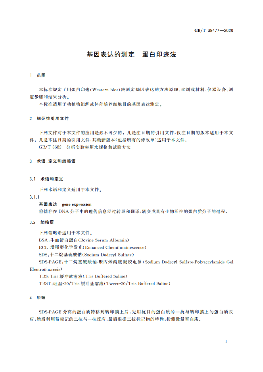 基因表达的测定 蛋白印迹法 GBT 38477-2020.pdf_第3页