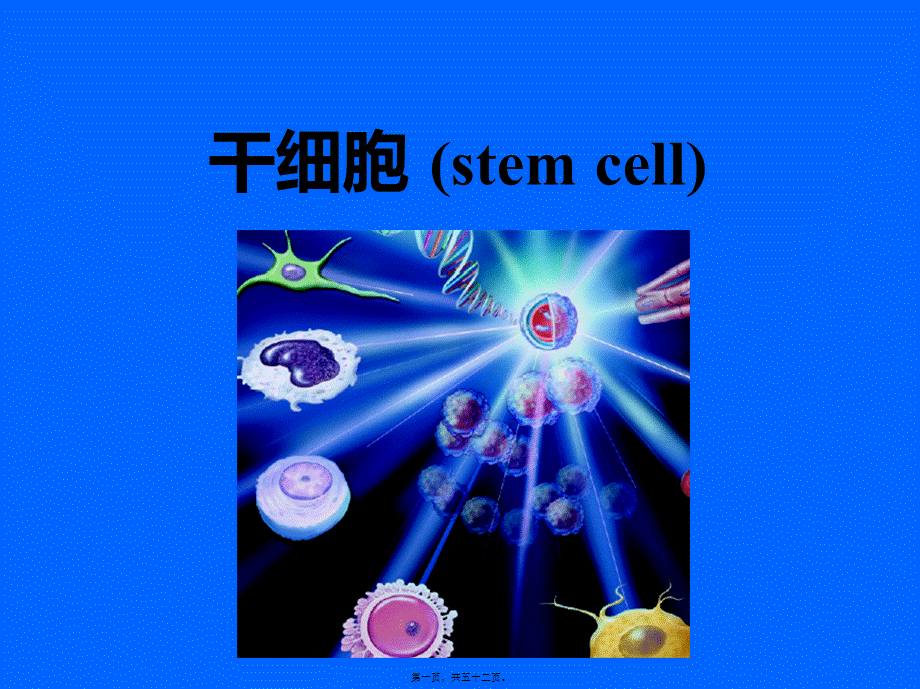 2022年医学专题—干细胞(1).ppt_第1页