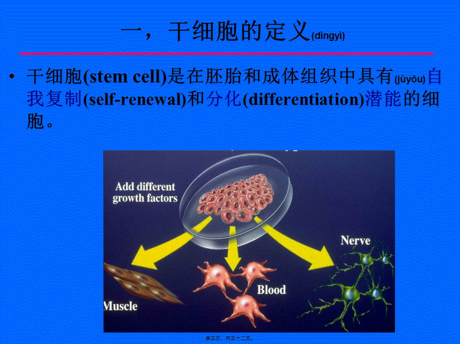 2022年医学专题—干细胞(1).ppt_第3页