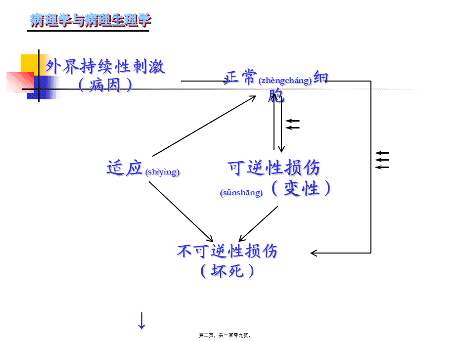 2022年医学专题—第二章细胞组织的适应第一节(1).ppt_第2页