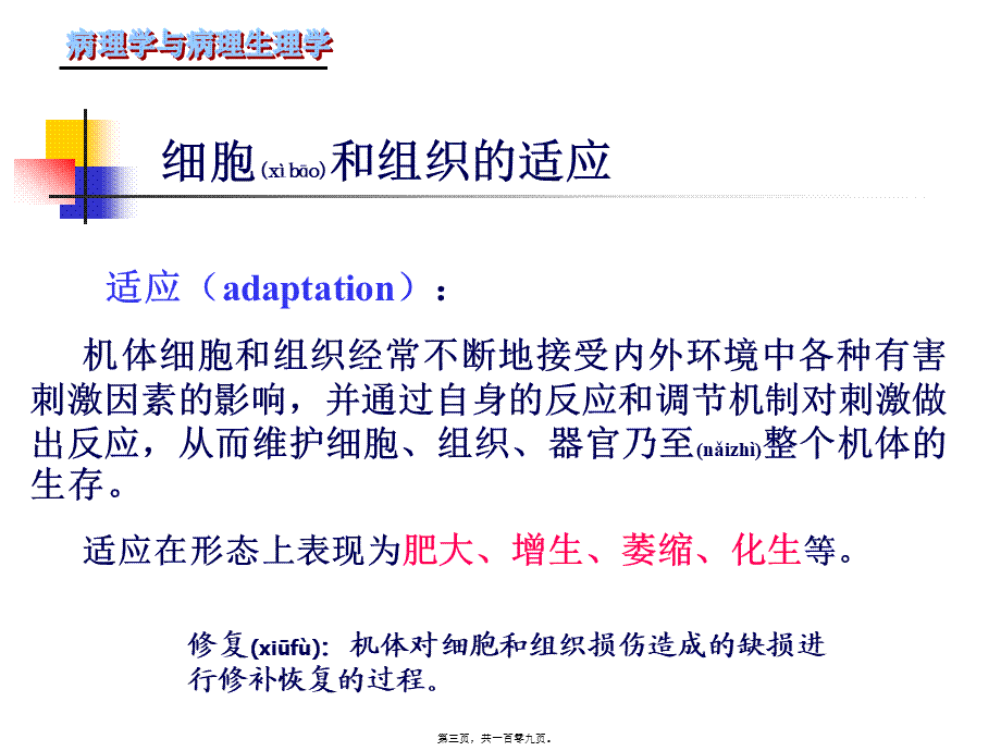 2022年医学专题—第二章细胞组织的适应第一节(1).ppt_第3页