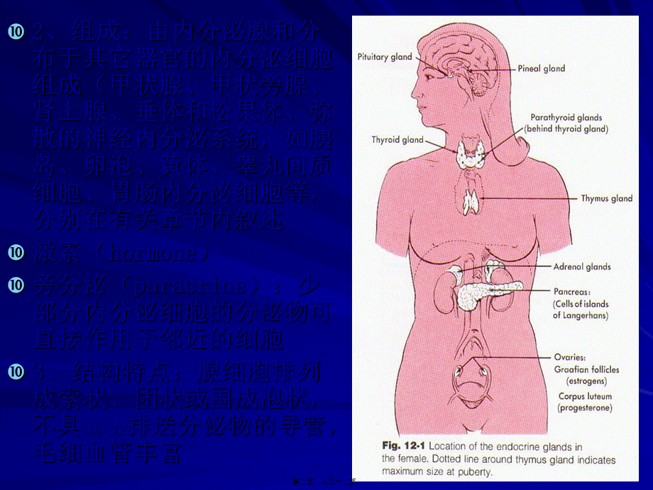 2022年医学专题—第十二章-内分泌系统(1).ppt_第2页